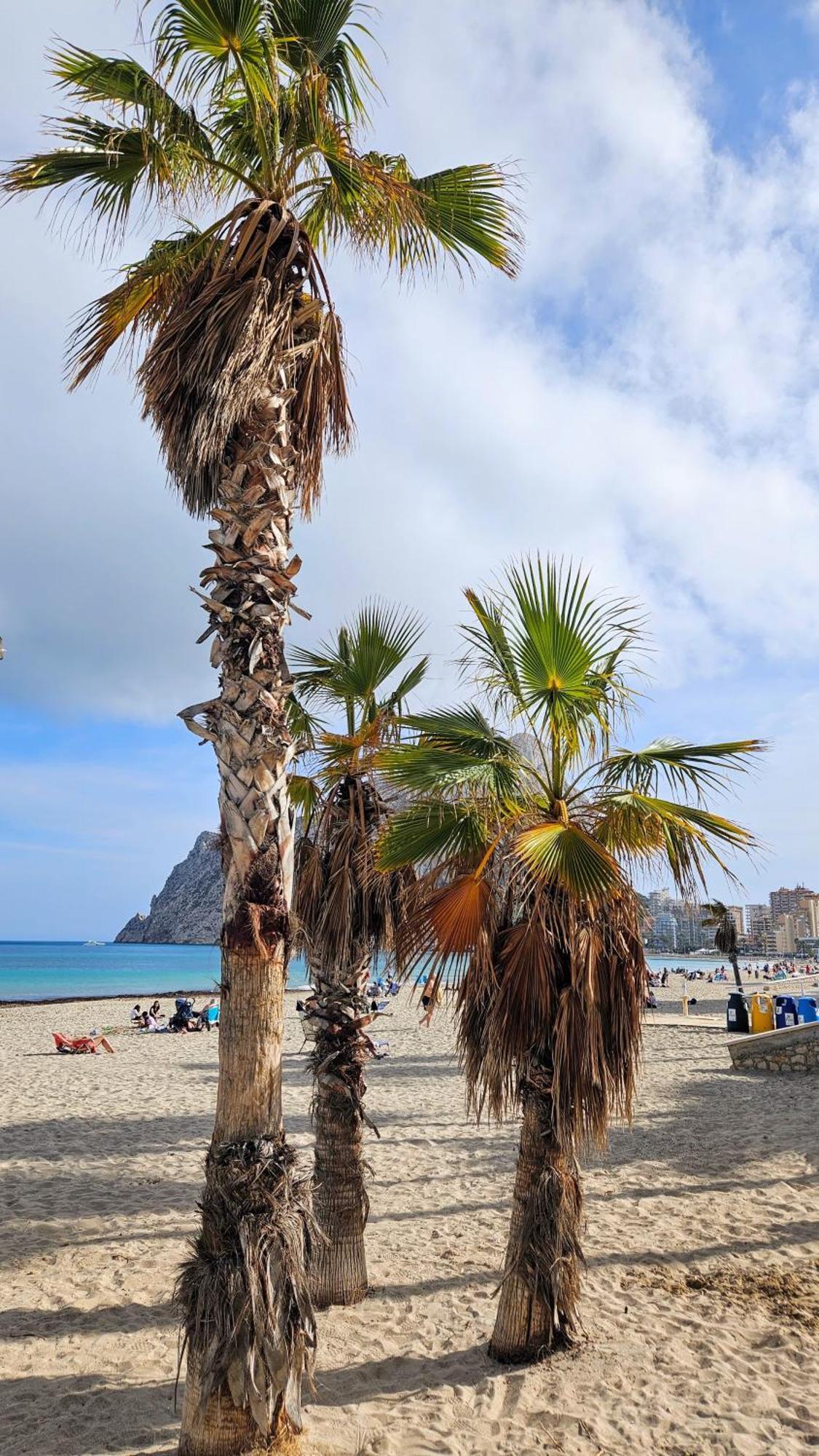Esmeralda Suites Sunrise Con Piscina Calp Exterior foto